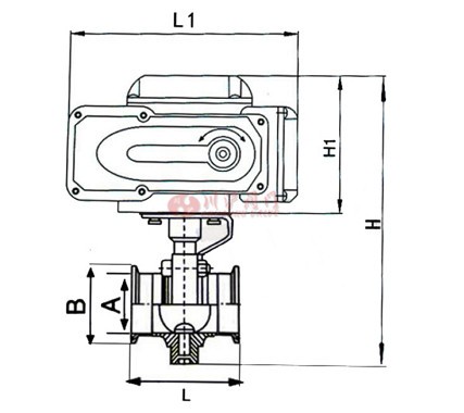 電動(dòng)衛生級蝶閥結構圖